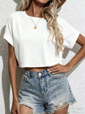 Casual Daily Basics Crop Tee Shirt