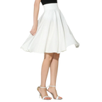 Elegant Solid High Waist Skirt