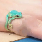Mini Green Tree Frog Ring