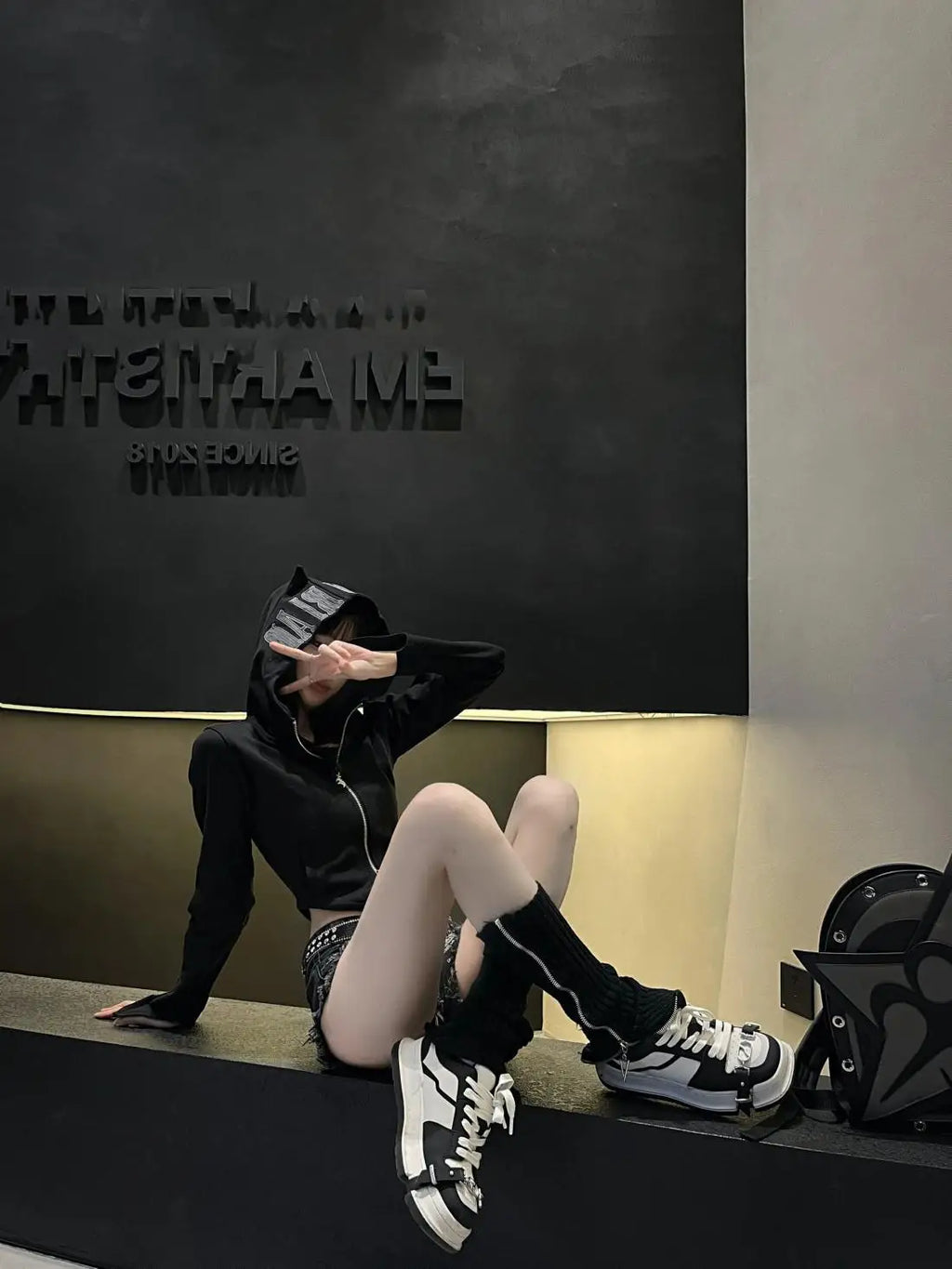 Y2KPunk  Hooded Shirt Crop Top