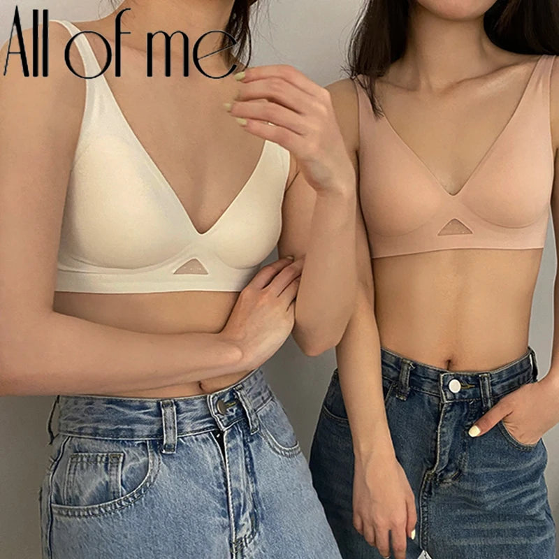 Wire Free Push Up  Bra