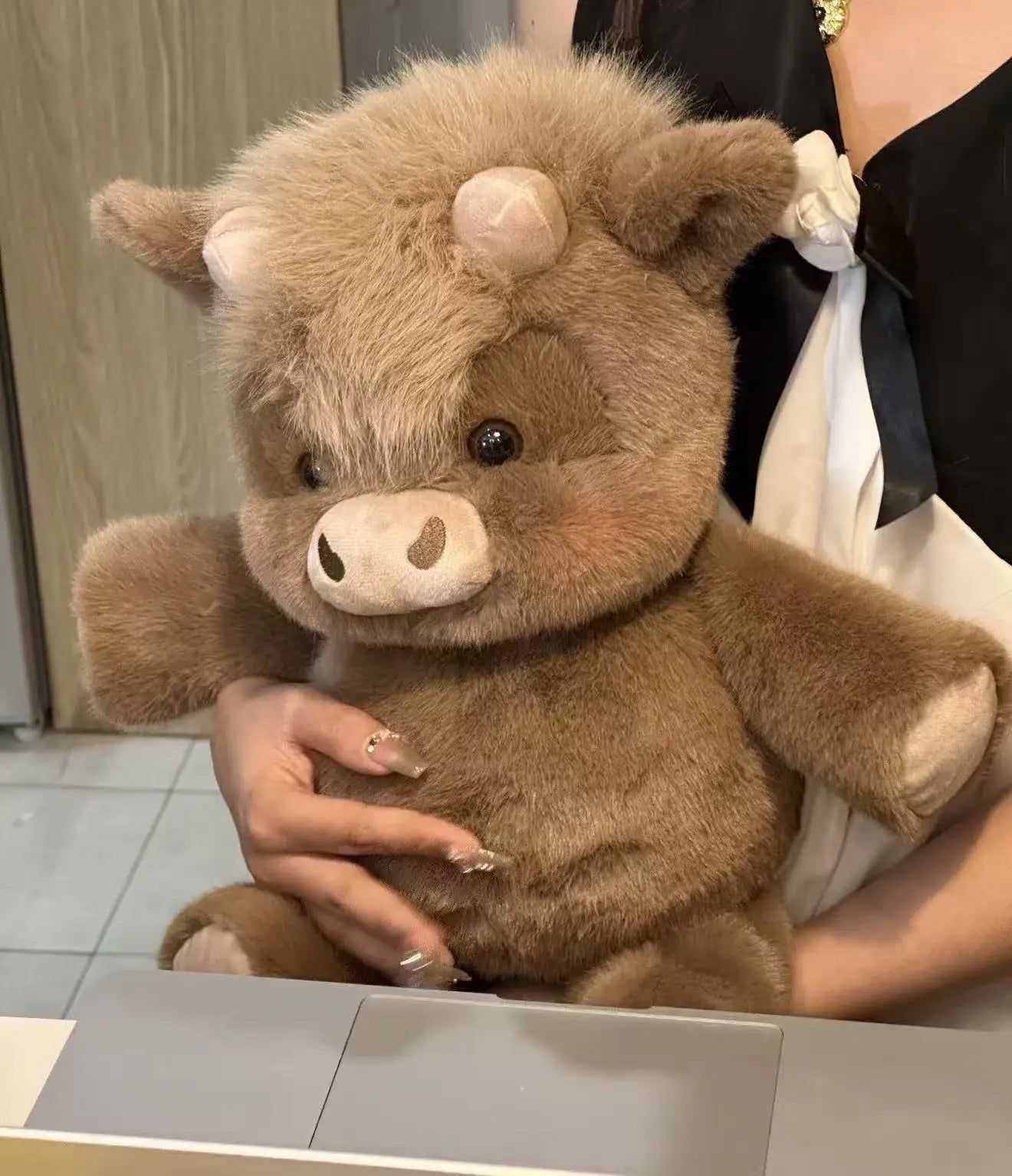 Kawaii  Plush Toy