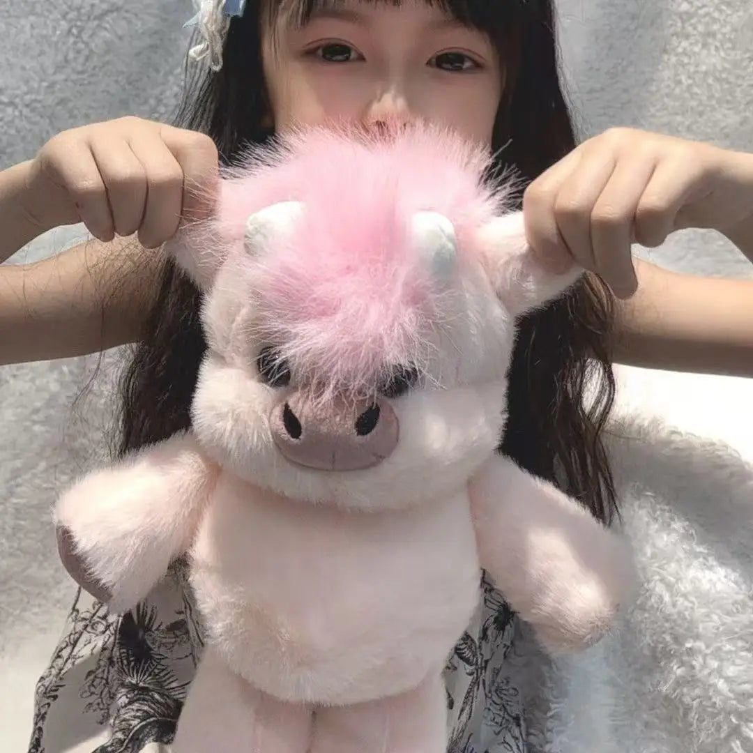Kawaii  Plush Toy