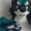 Long Fur Husky/Wolf Fursuit  Head/Paws/Tail